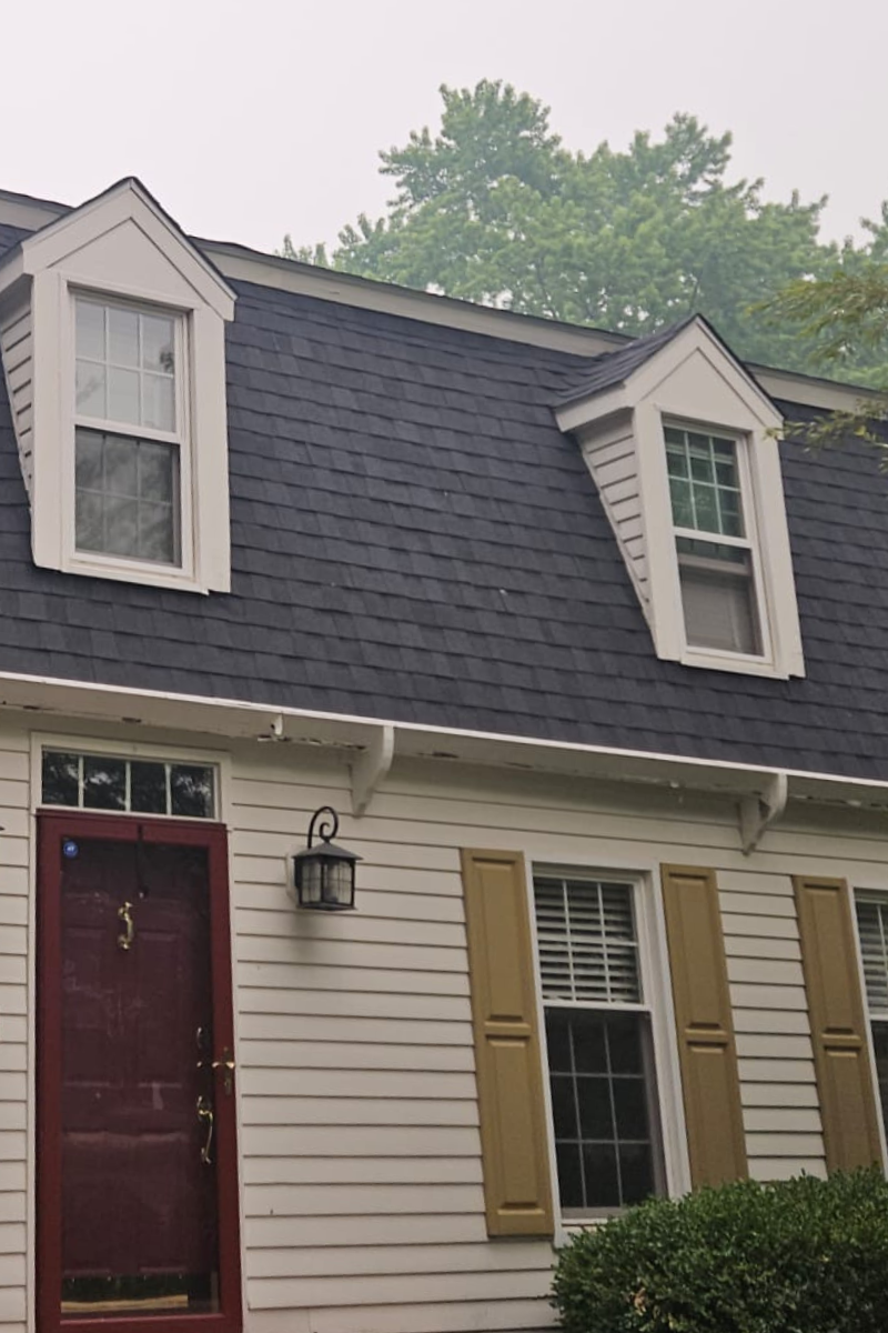 Professional Siding Installation